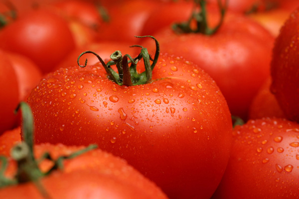 ntomates