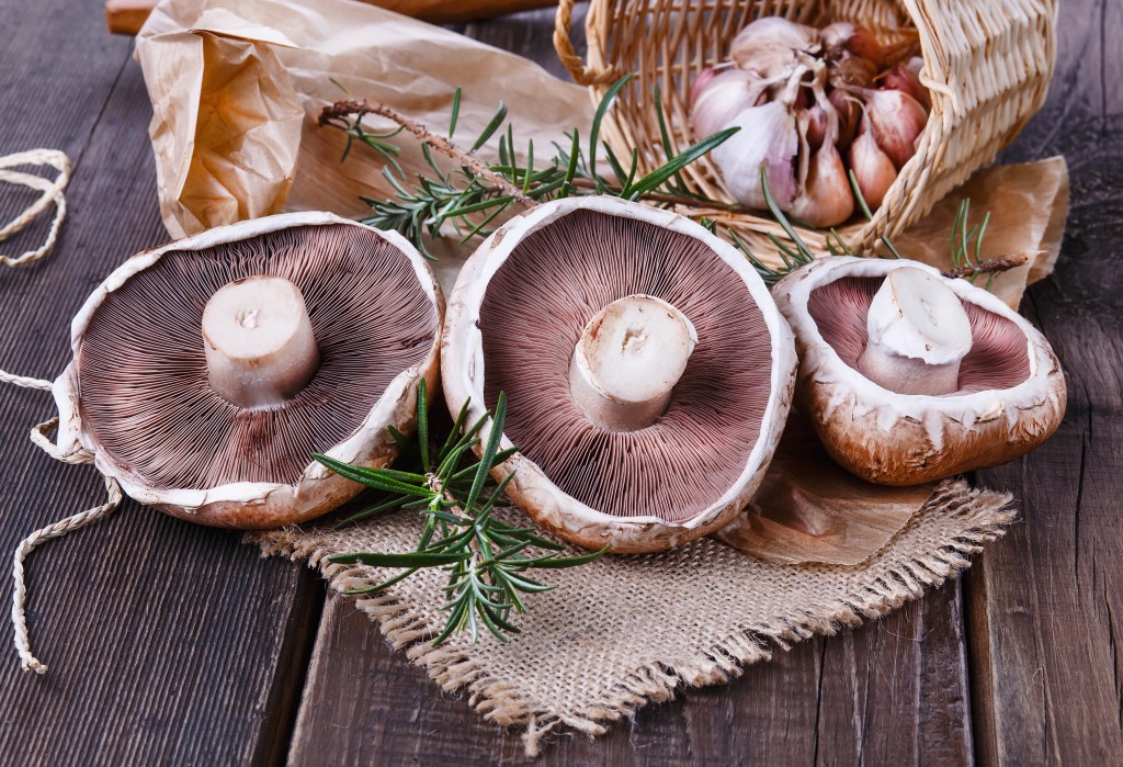shutterstock_196817927