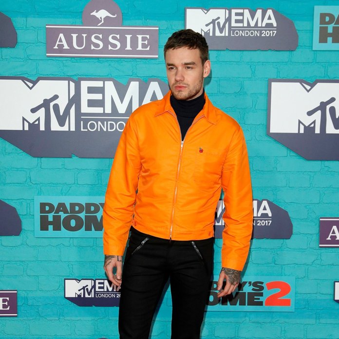 Liam Payne - MTV EMA 2017 (red carpet) (1) - Hit Channel