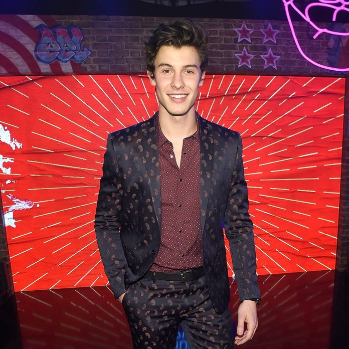 Shawn Mendes - MTV EMA 2017 (red carpet) (1) - Hit Channel