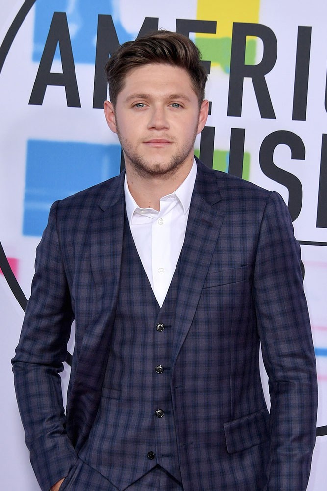 NIALL HORAN - RED CARPET - AMERICAN MUSIC AWARDS - AMAs 2017 - Hit Channel