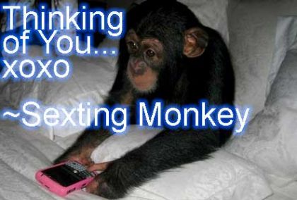 sexting_monkey