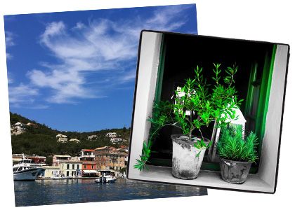 paxos1