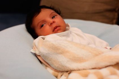 blueivyctarter