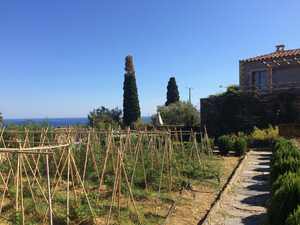 Το μποστάνι του αγροκτήματος.