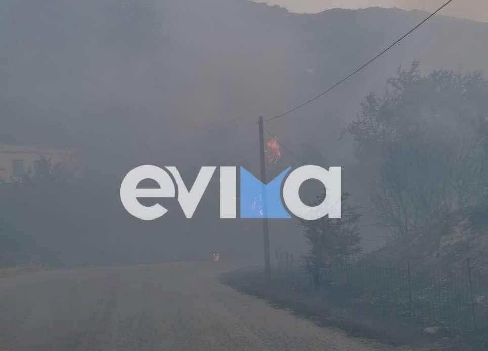 Φωτιά στην Κάρυστο