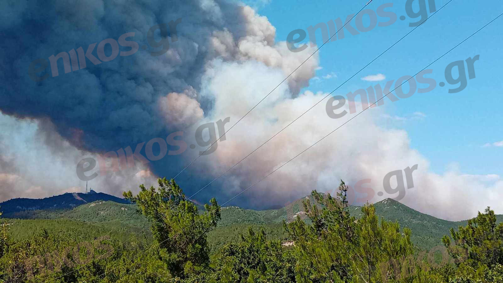 Φωτιά Έβρος Δαδιά