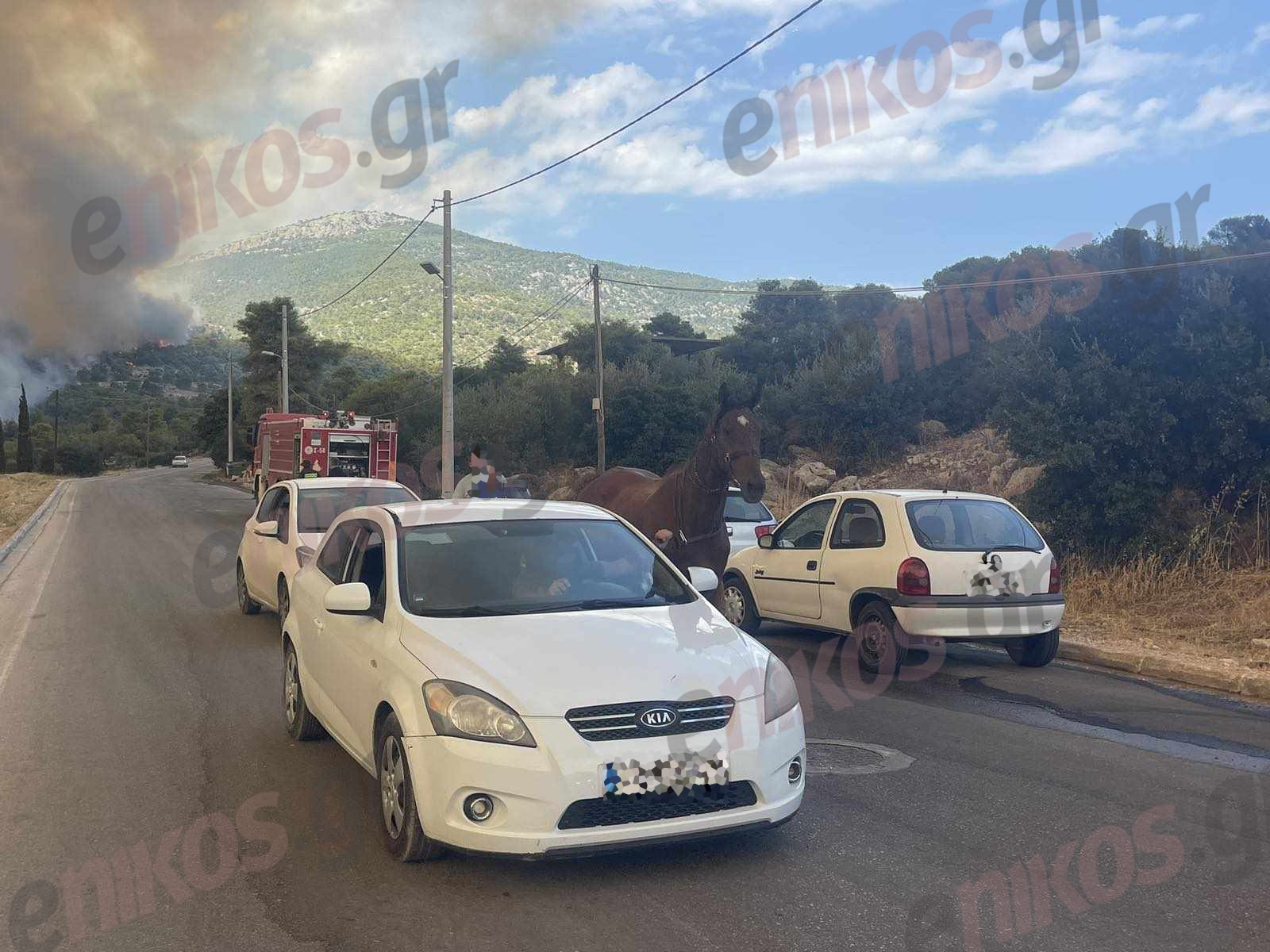 Φωτιά Πάρνηθα Φυλή Άλογο