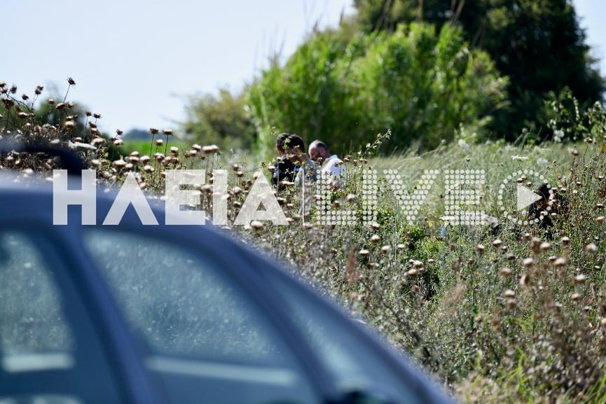 Δολοφονία Ηλεία