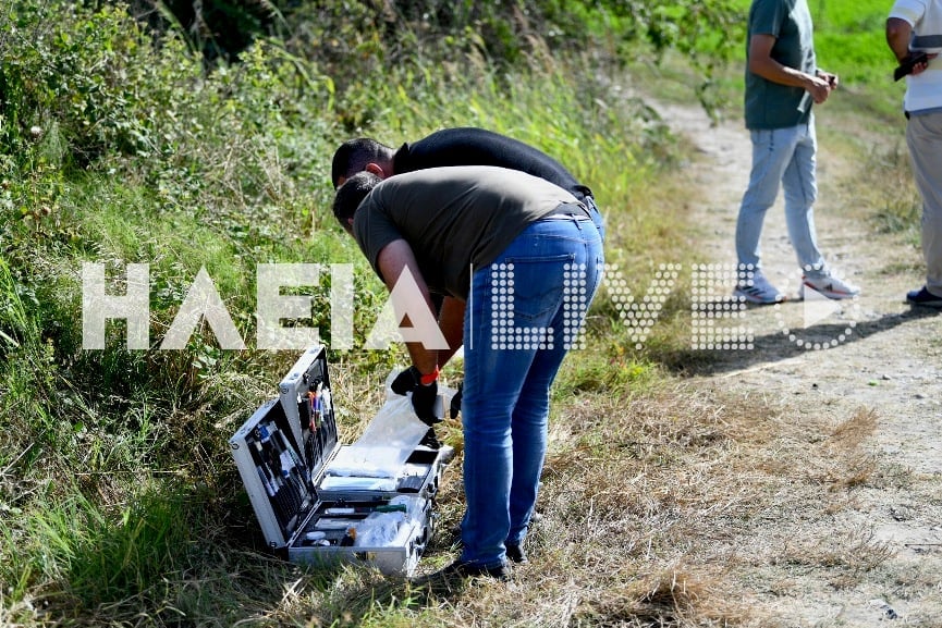 Δολοφονία Ηλεία