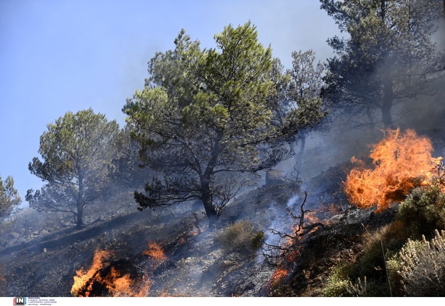 φωτιά Κερατέα