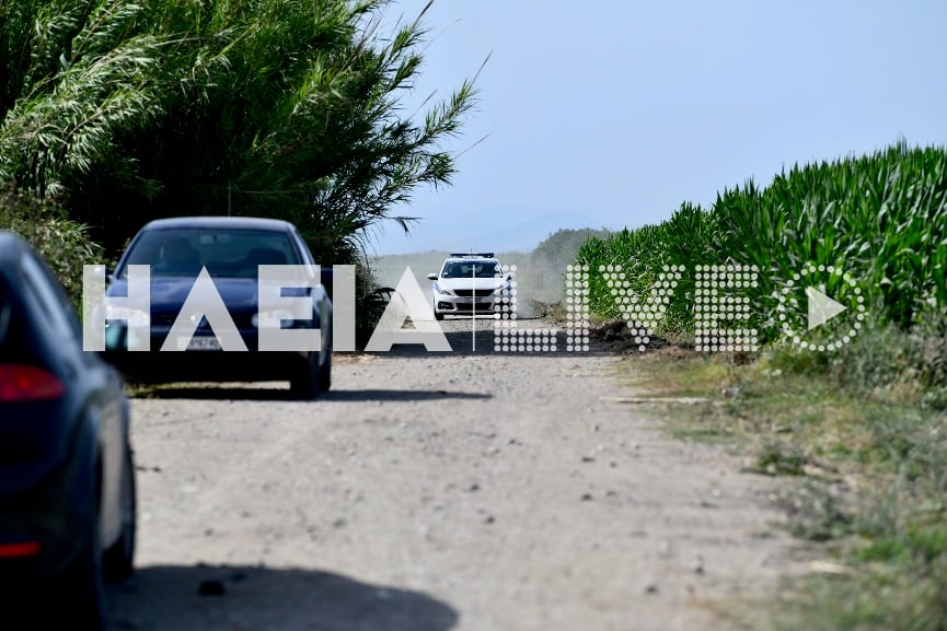 Δολοφονία Ηλεία