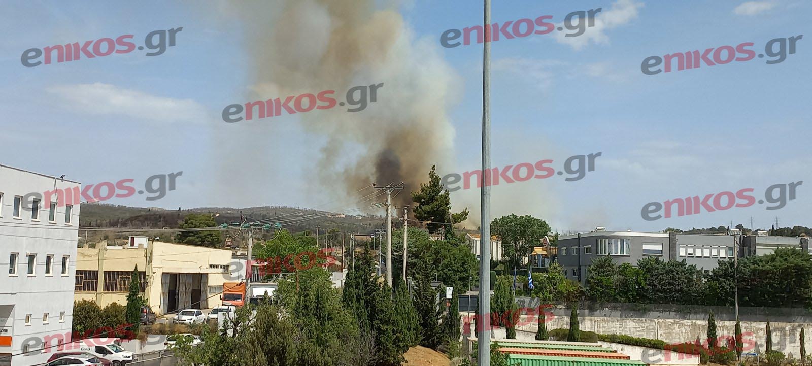 φωτιά - Κρυονέρι