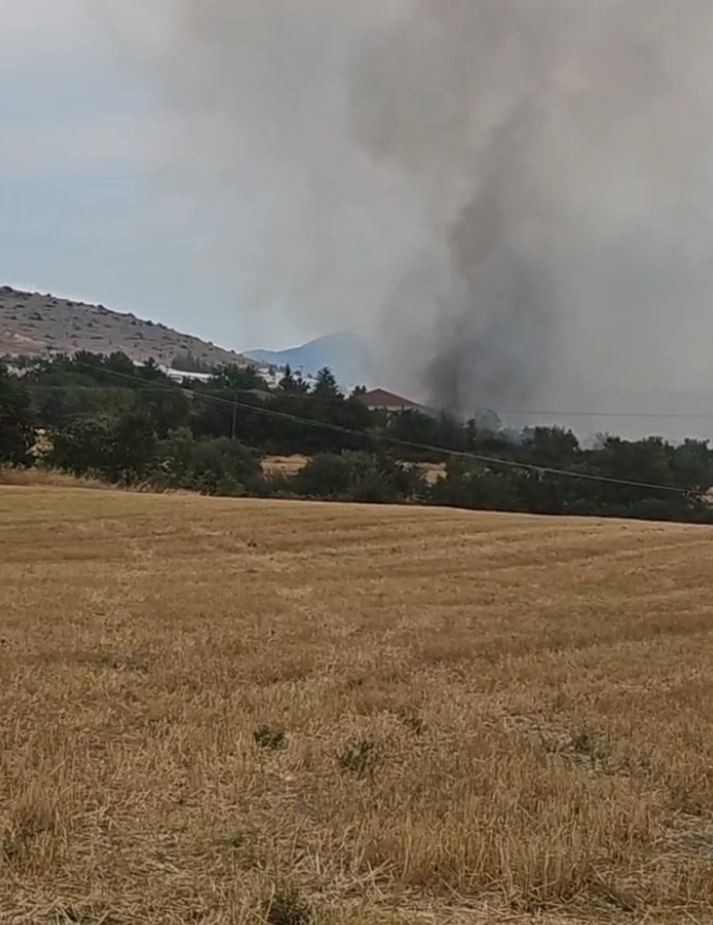 Φωτιά Κοζάνη 