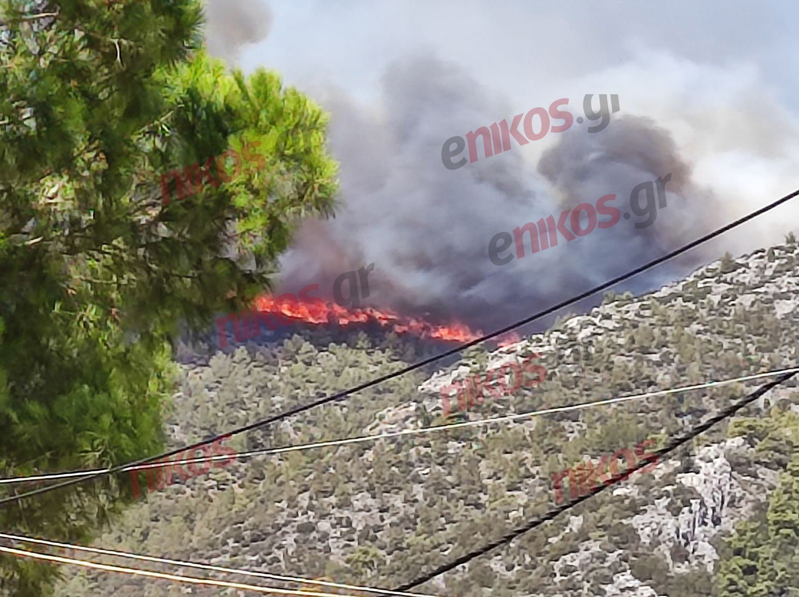 φωτιά Νέα Μάκρη