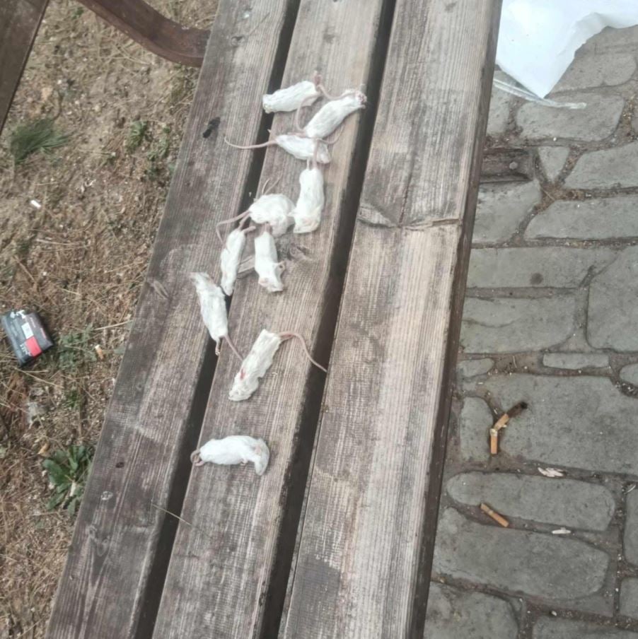 Θεσσαλονίκη