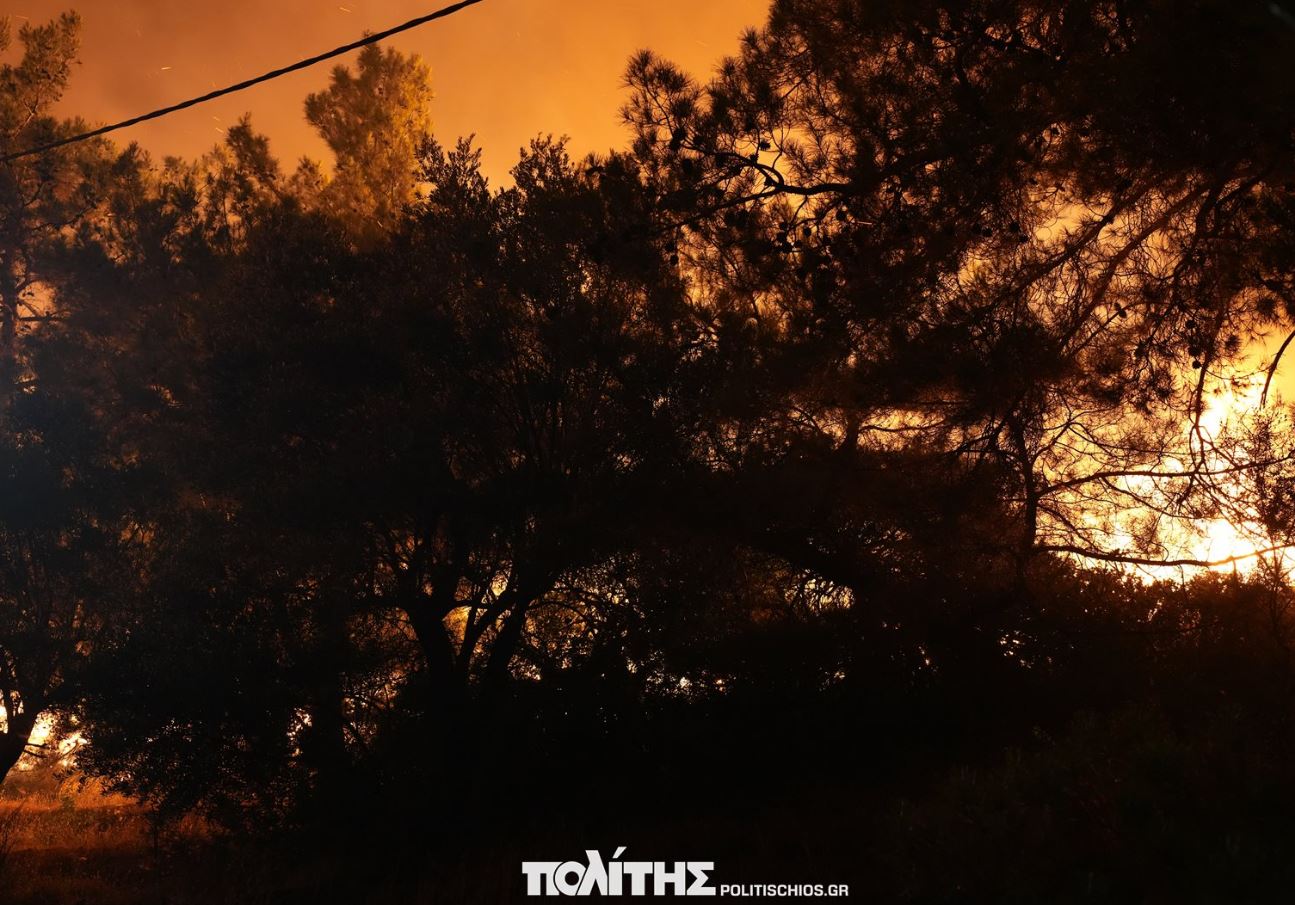 ΦΩΤΙΑ ΧΙΟΣ