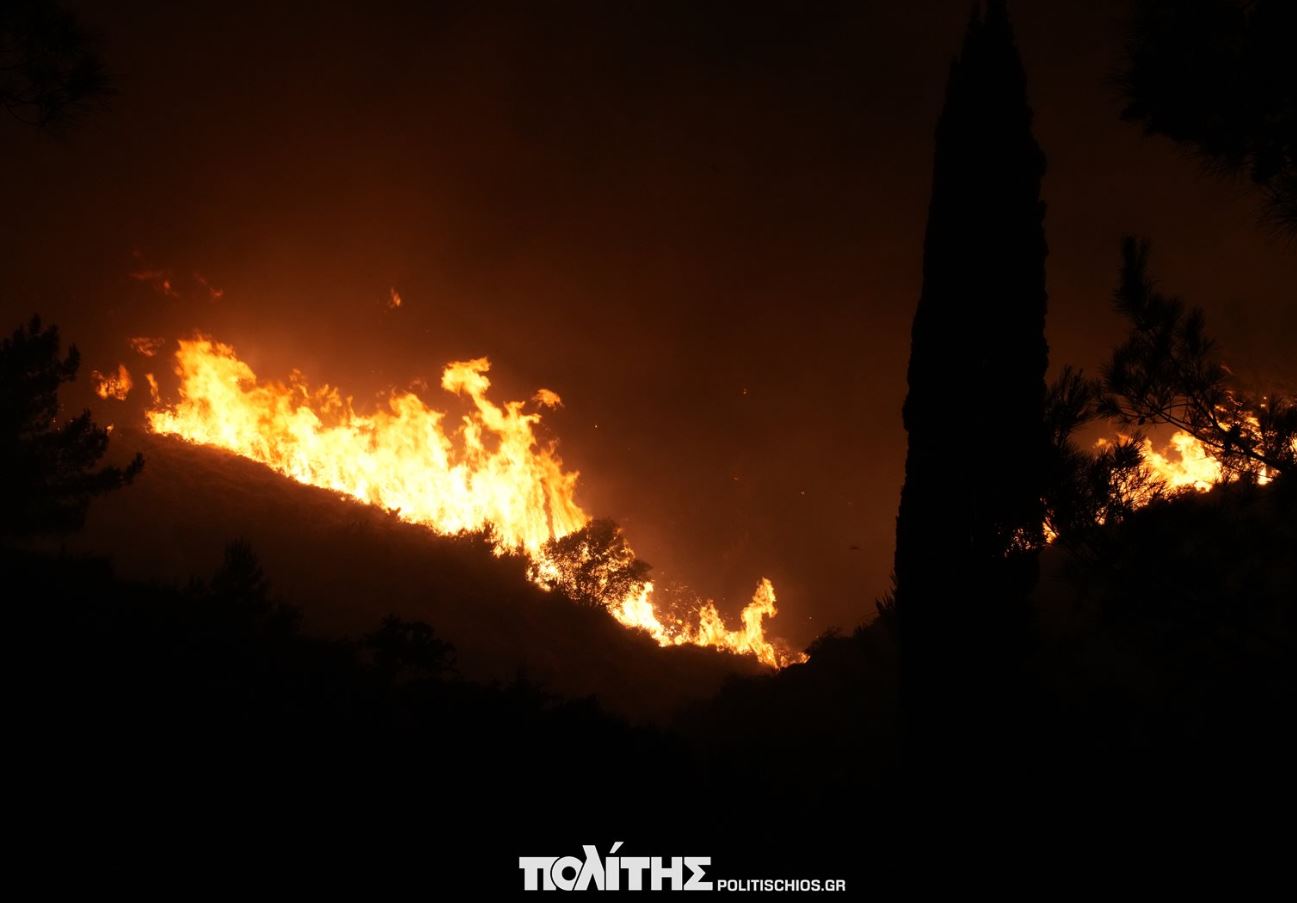 ΦΩΤΙΑ ΧΙΟΣ