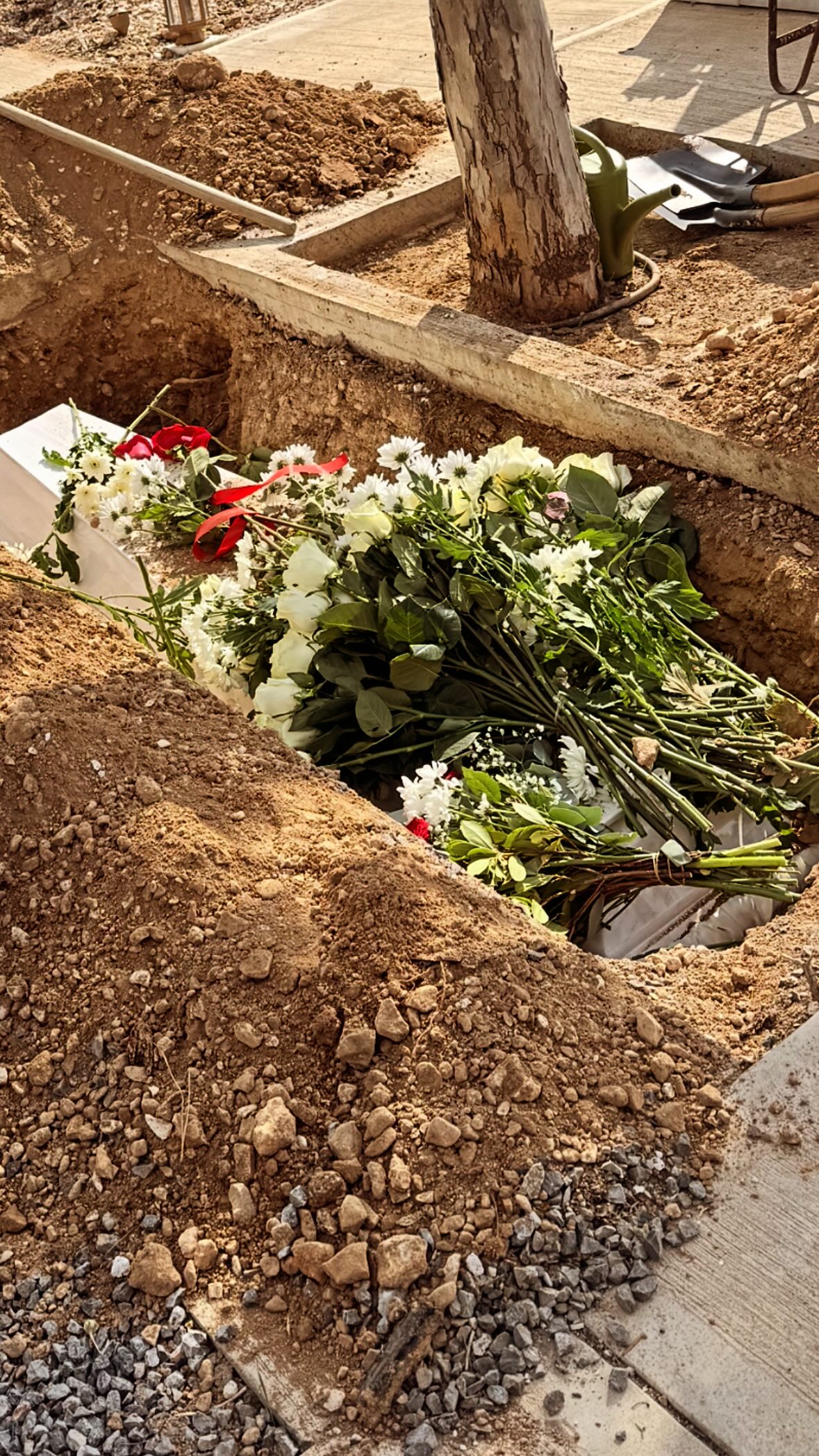 Βικτώρια Καρύδα