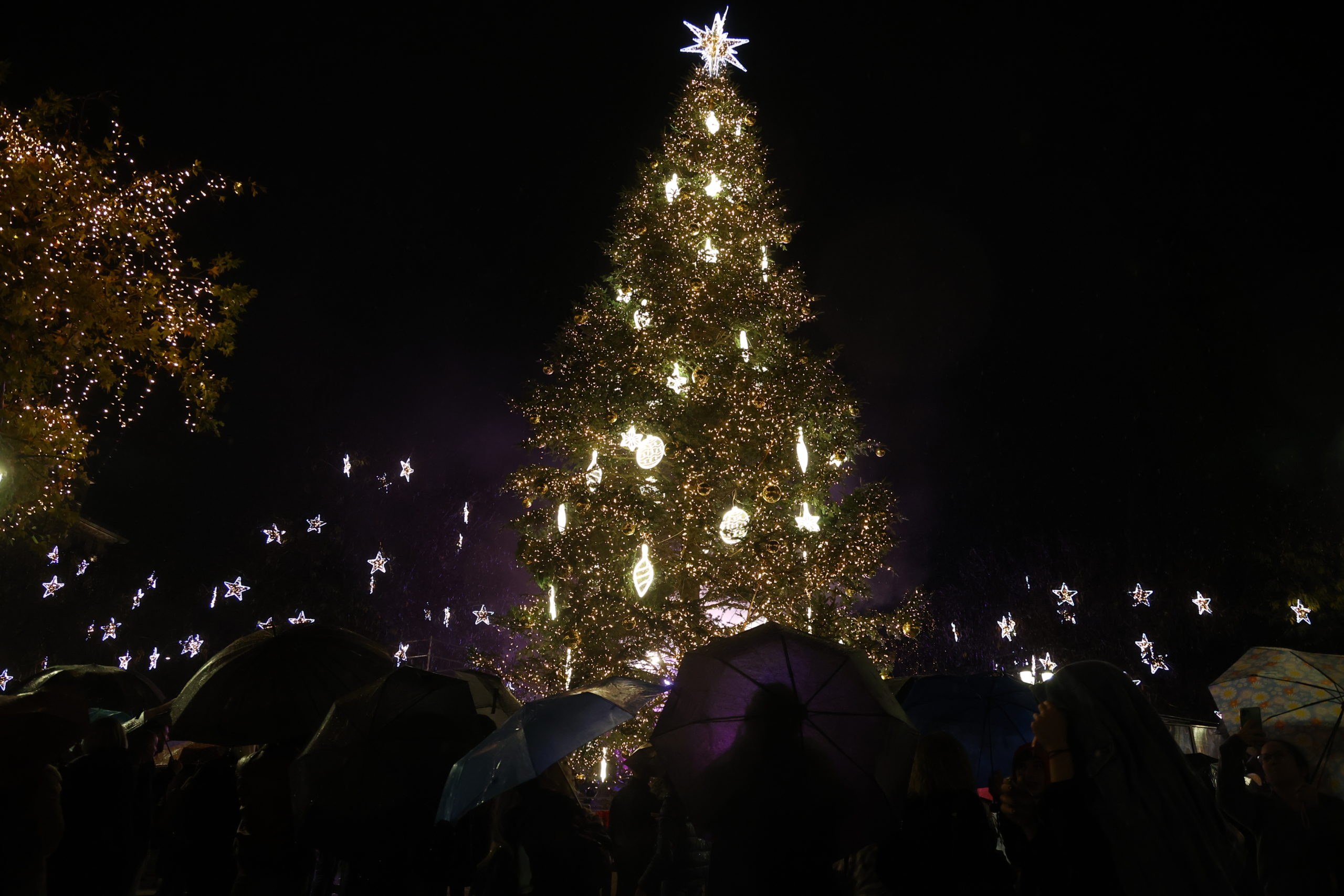 Σύνταγμα, Χριστουγεννιάτικο Δέντρο, Αθήνα,