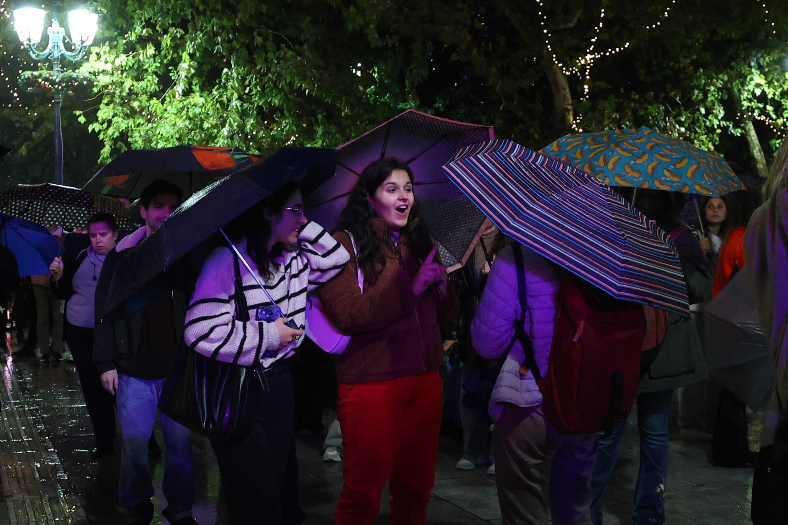 Σύνταγμα, Χριστουγεννιάτικο Δέντρο, Αθήνα,