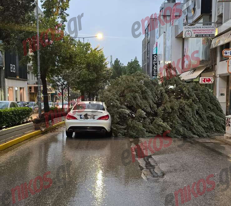 Κακοκαιρία Adel, πτώση δέντρου, Νέα Ιωνία