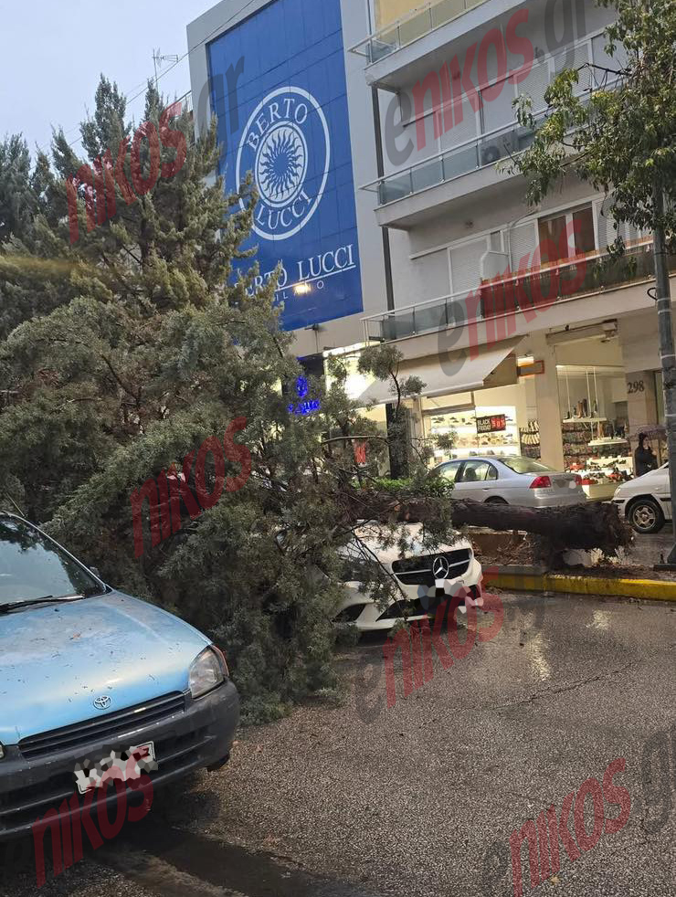 Κακοκαιρία Adel, πτώση δέντρου, Νέα Ιωνία