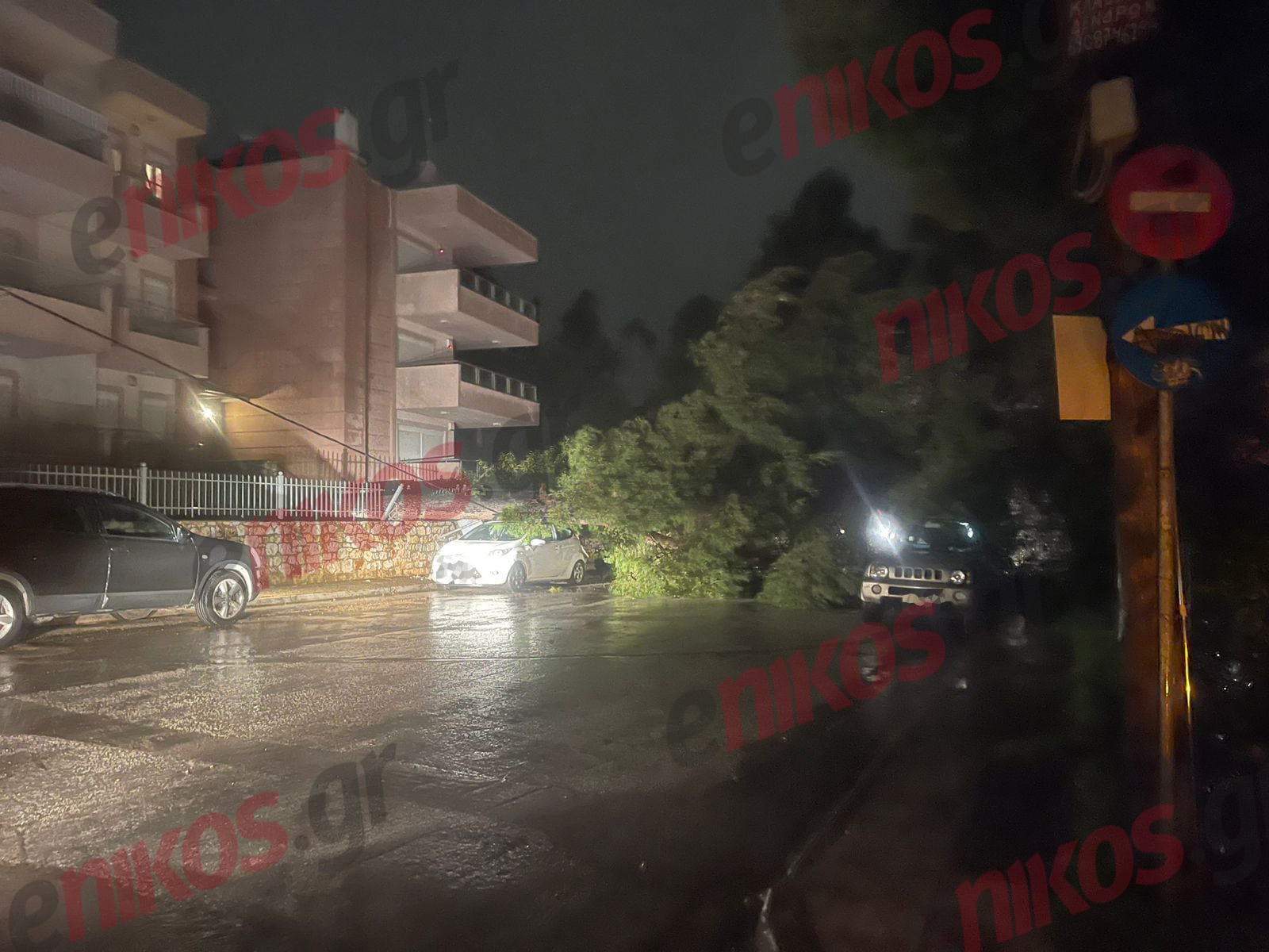 Δροσιά, Κακοκαιρία, πτώση, δέντρο