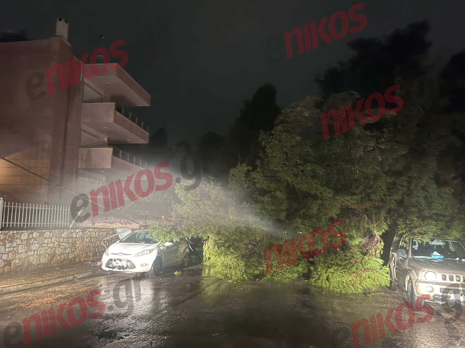 Δροσιά, Κακοκαιρία, πτώση, δέντρο