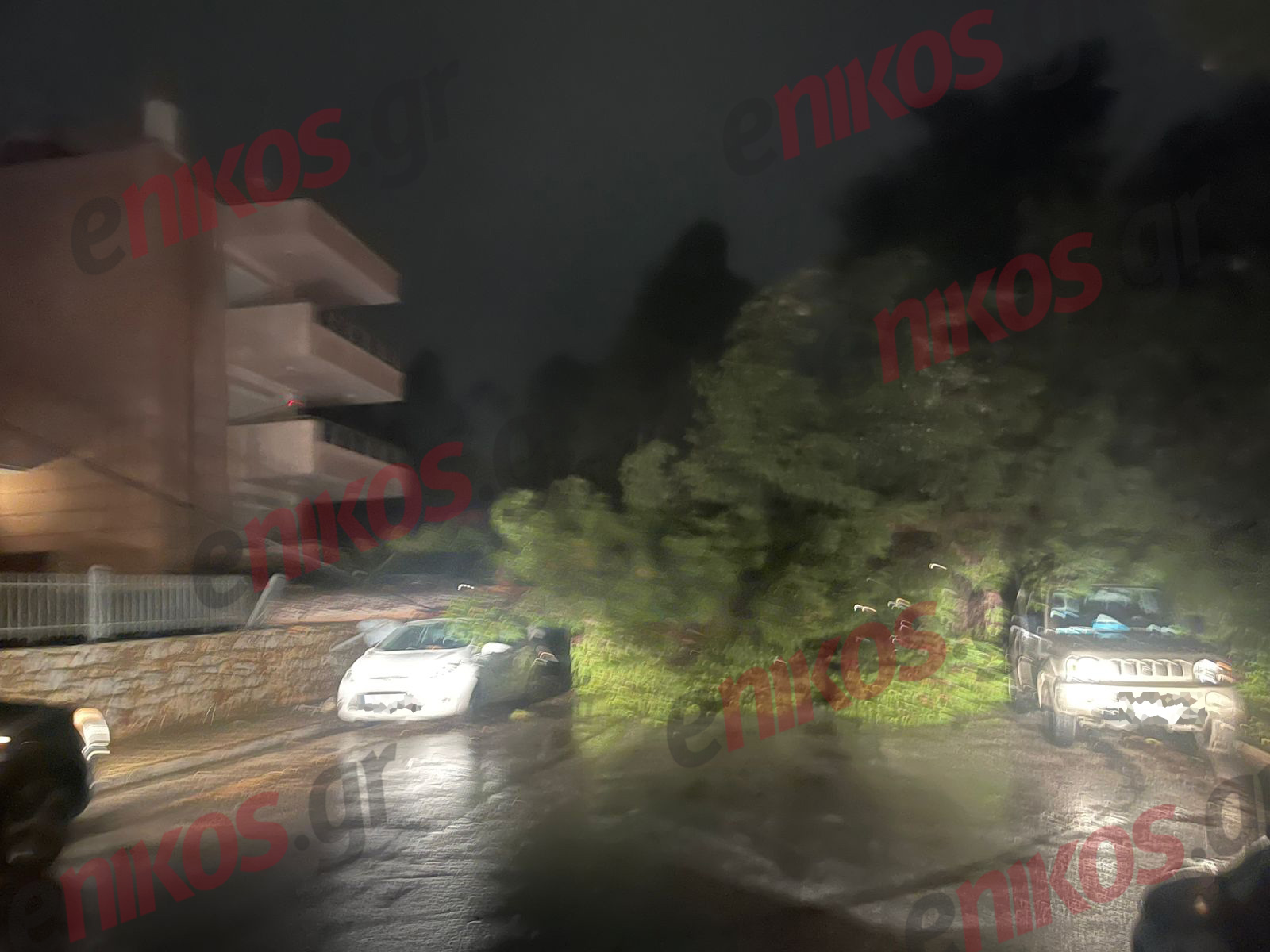 Δροσιά, Κακοκαιρία, πτώση, δέντρο