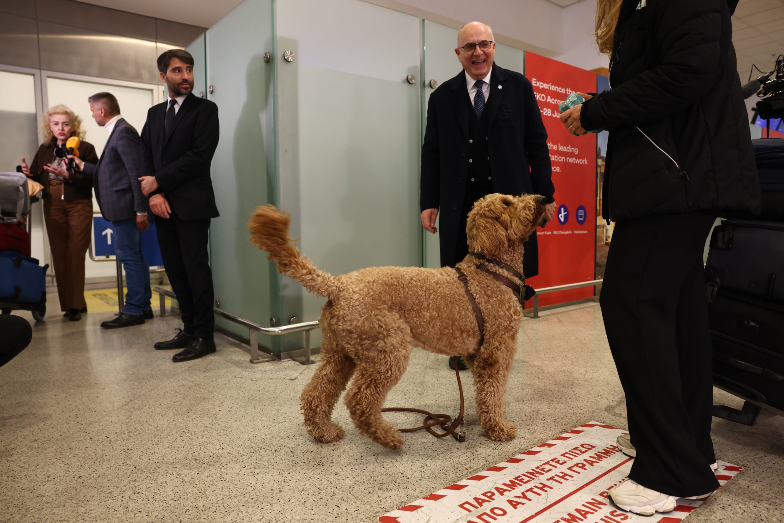 Επαναπατρισμός εγκλωβισμένων στο Άμπου Ντάμπι, Ελ. Βενιζέλος