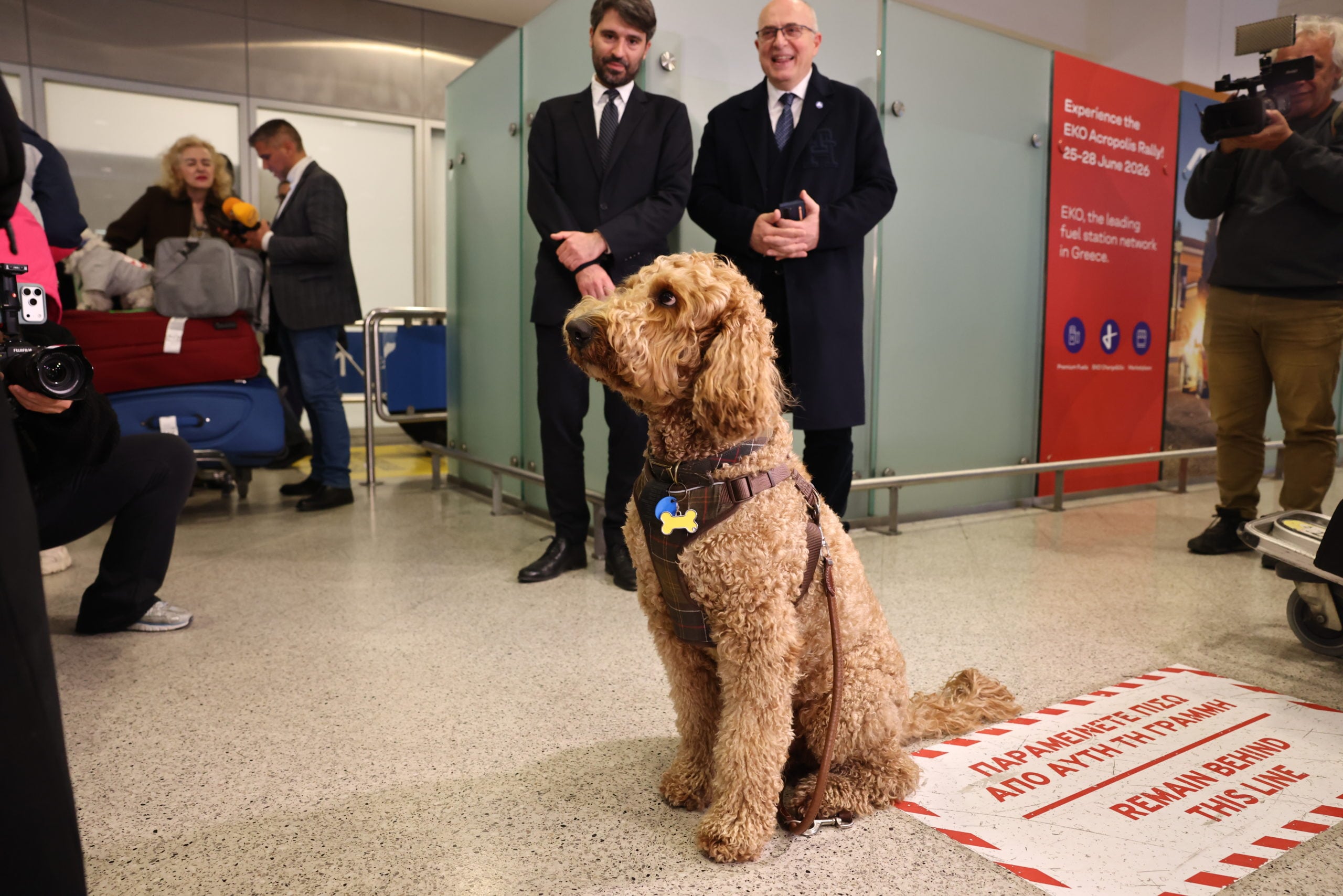 Επαναπατρισμός εγκλωβισμένων στο Άμπου Ντάμπι, Ελ. Βενιζέλος