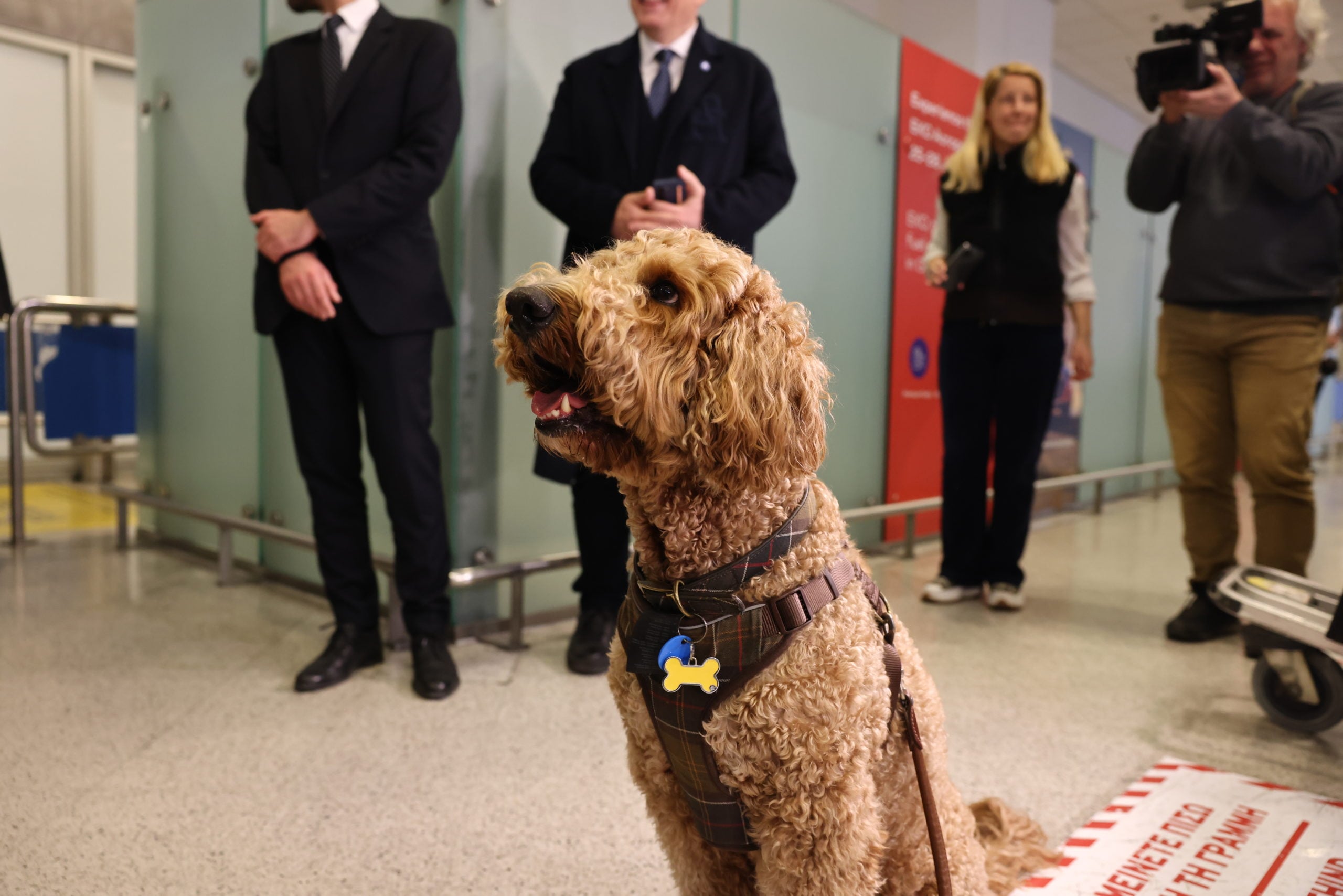 Επαναπατρισμός εγκλωβισμένων στο Άμπου Ντάμπι, Ελ. Βενιζέλος