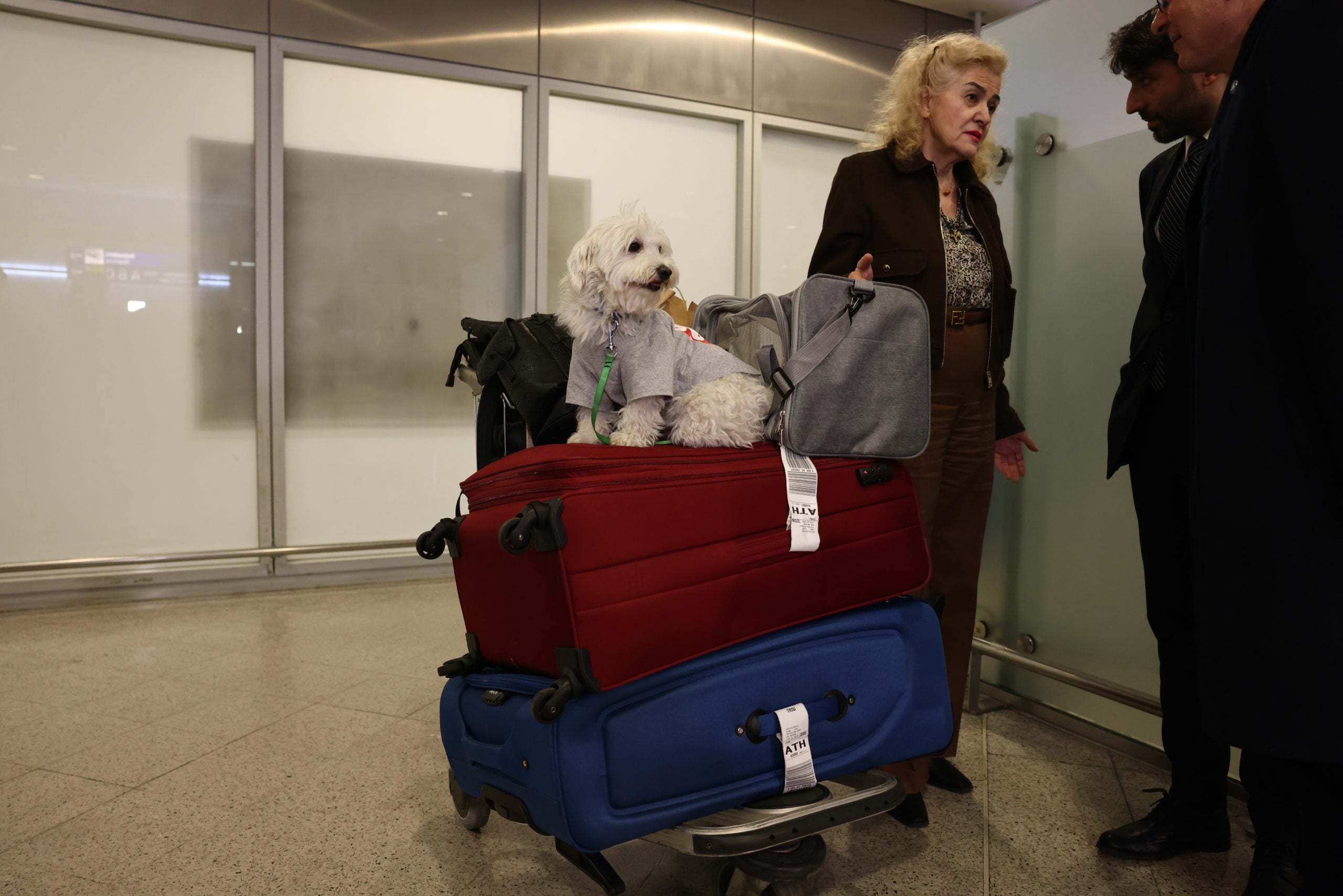 Επαναπατρισμός εγκλωβισμένων στο Άμπου Ντάμπι, Ελ. Βενιζέλος