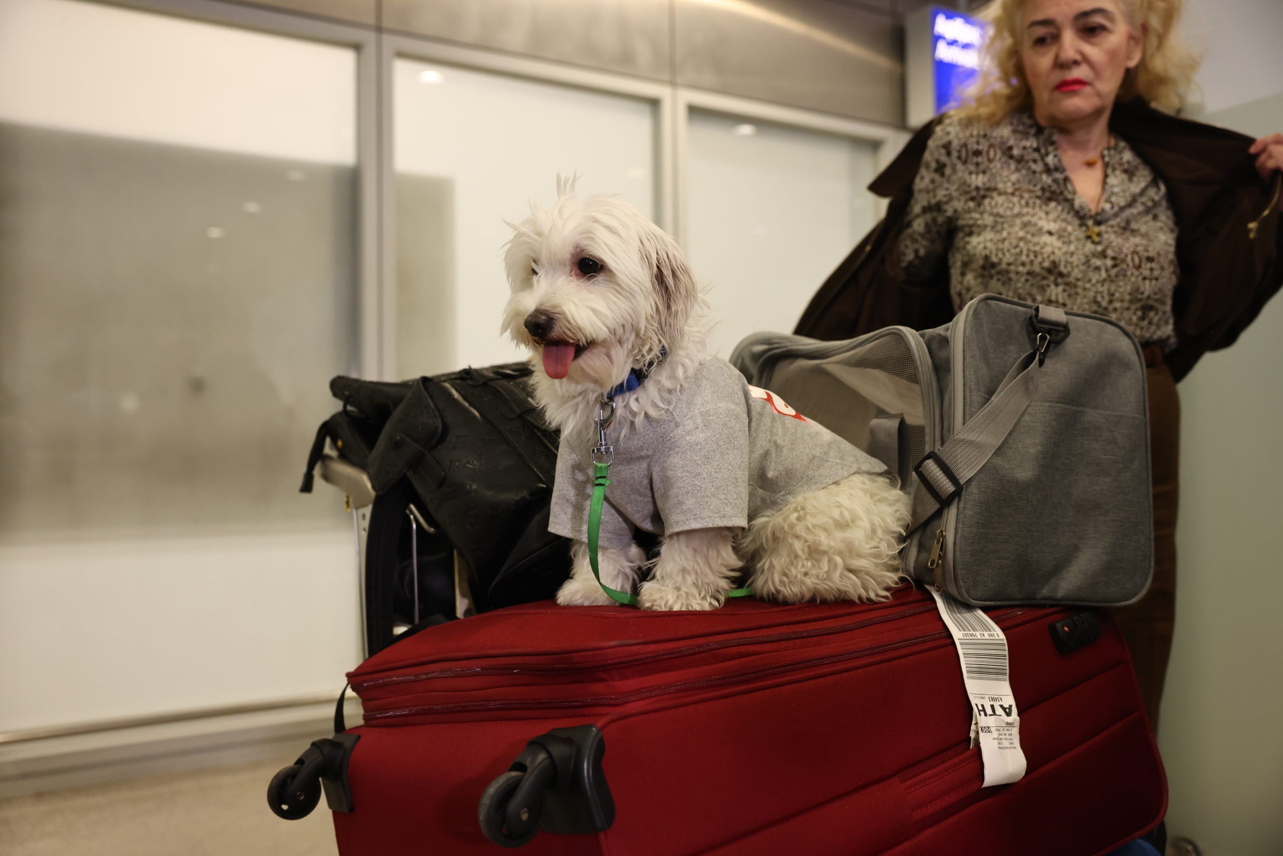 Επαναπατρισμός εγκλωβισμένων στο Άμπου Ντάμπι, Ελ. Βενιζέλος