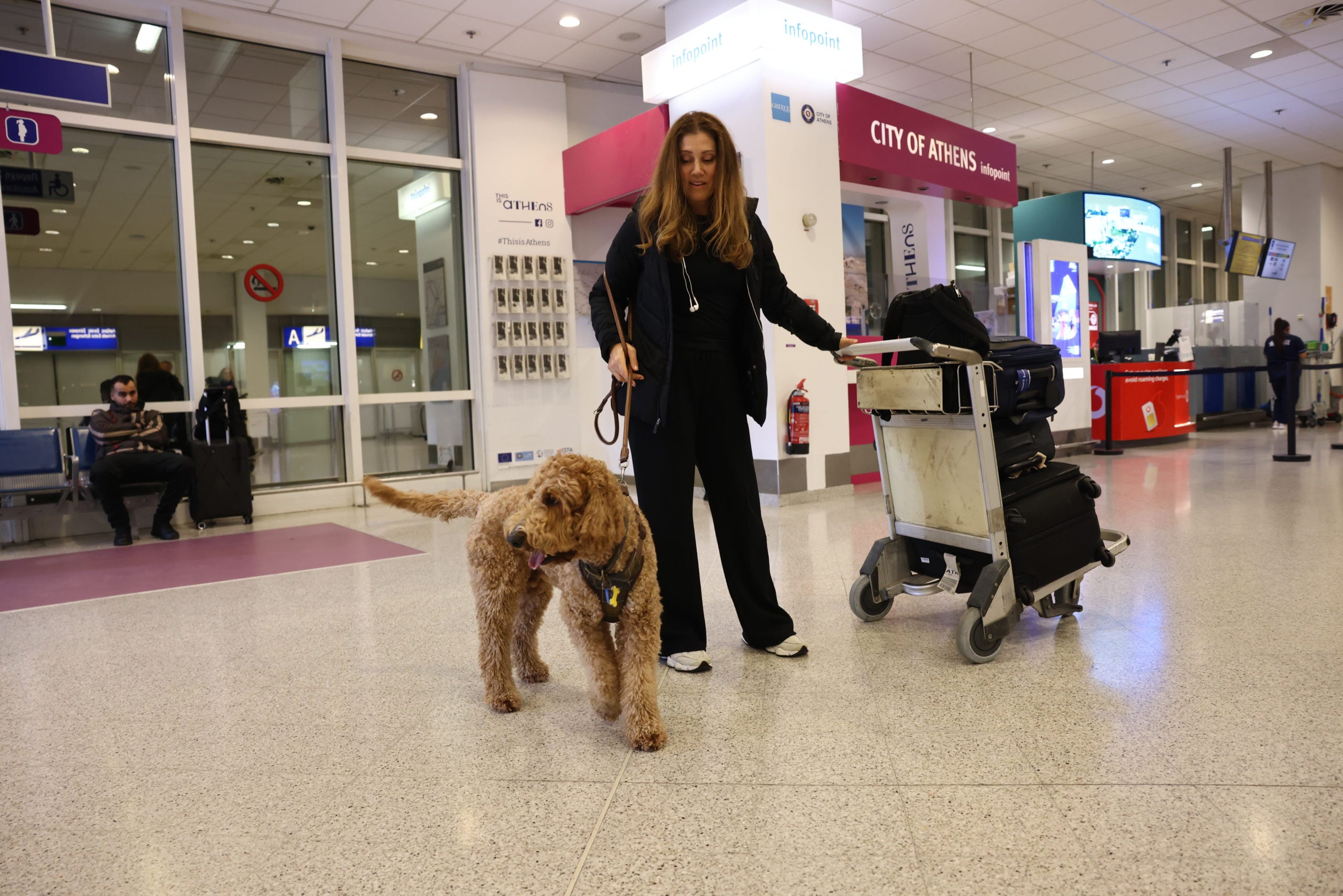 Επαναπατρισμός εγκλωβισμένων στο Άμπου Ντάμπι, Ελ. Βενιζέλος