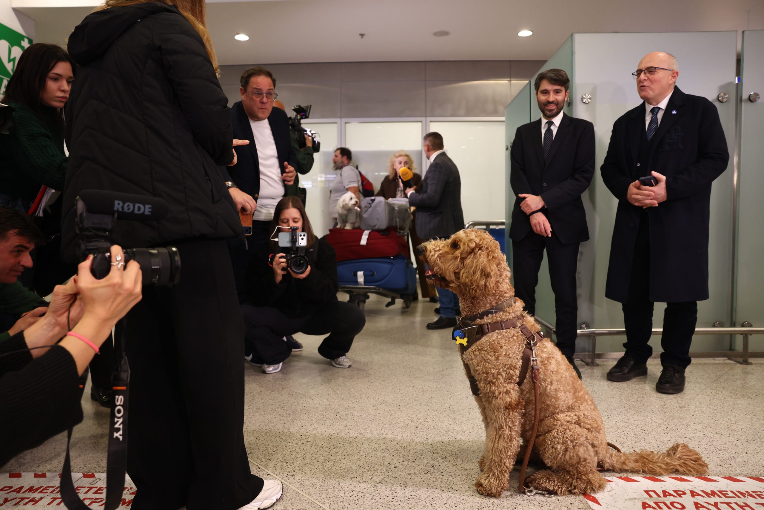 Επαναπατρισμός εγκλωβισμένων στο Άμπου Ντάμπι, Ελ. Βενιζέλος