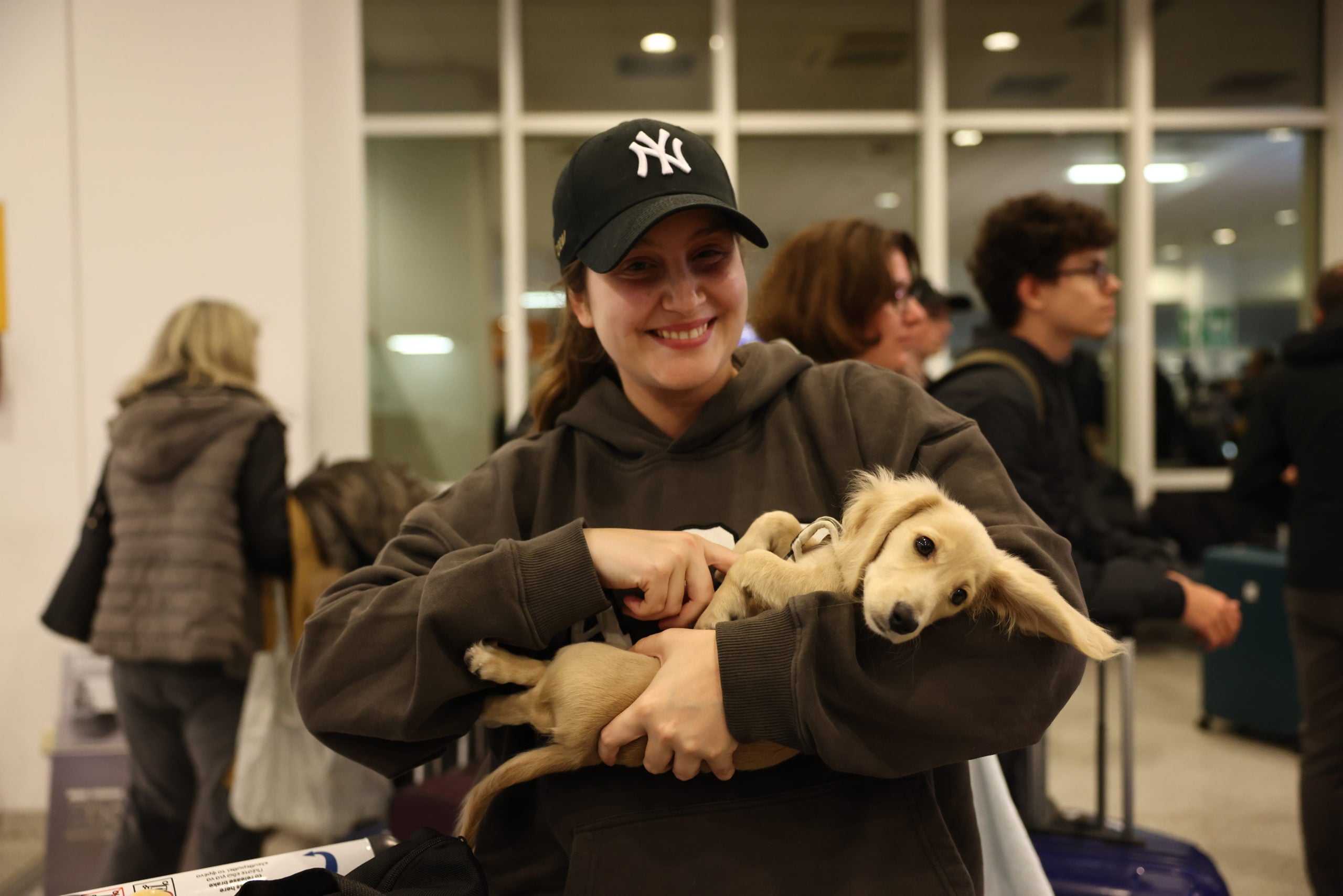 Επαναπατρισμός εγκλωβισμένων στο Άμπου Ντάμπι, Ελ. Βενιζέλος