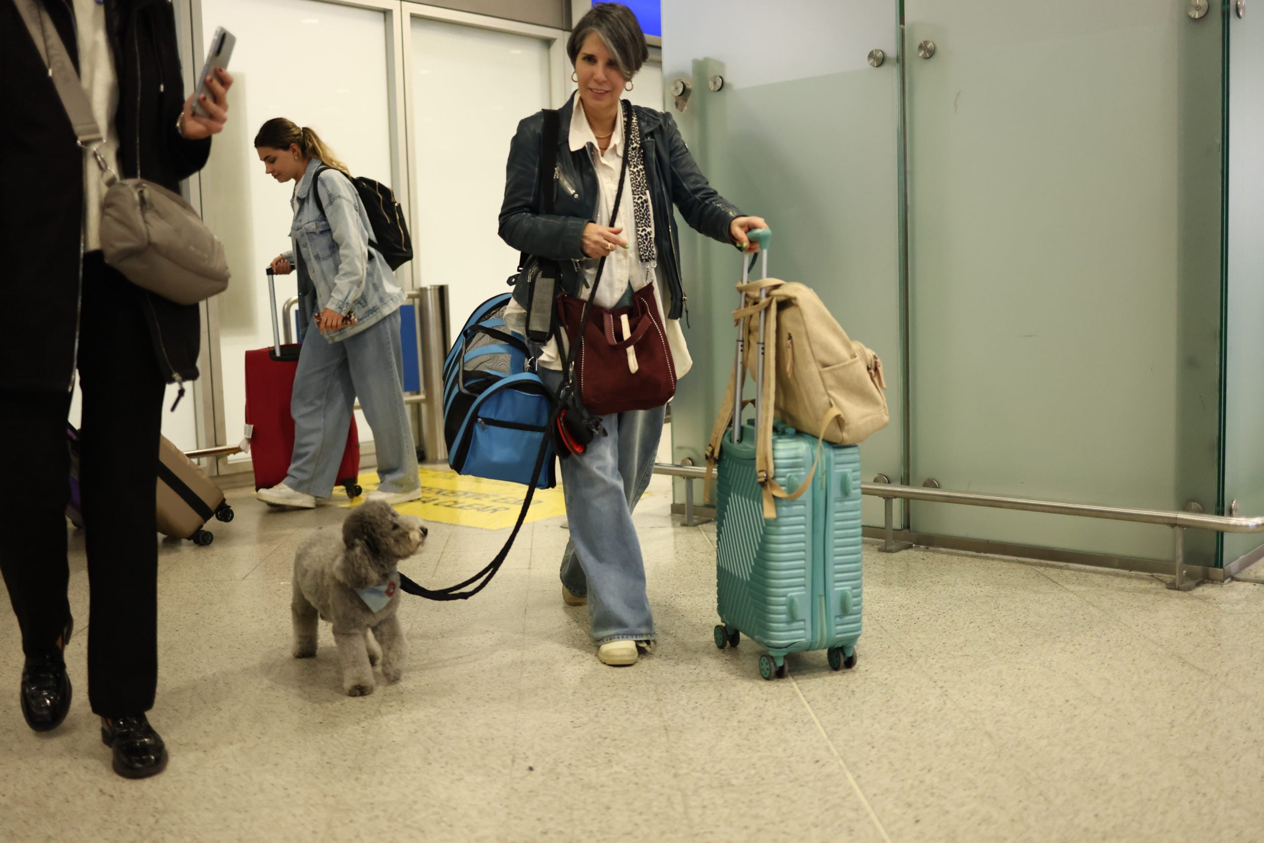 Επαναπατρισμός εγκλωβισμένων στο Άμπου Ντάμπι, Ελ. Βενιζέλος