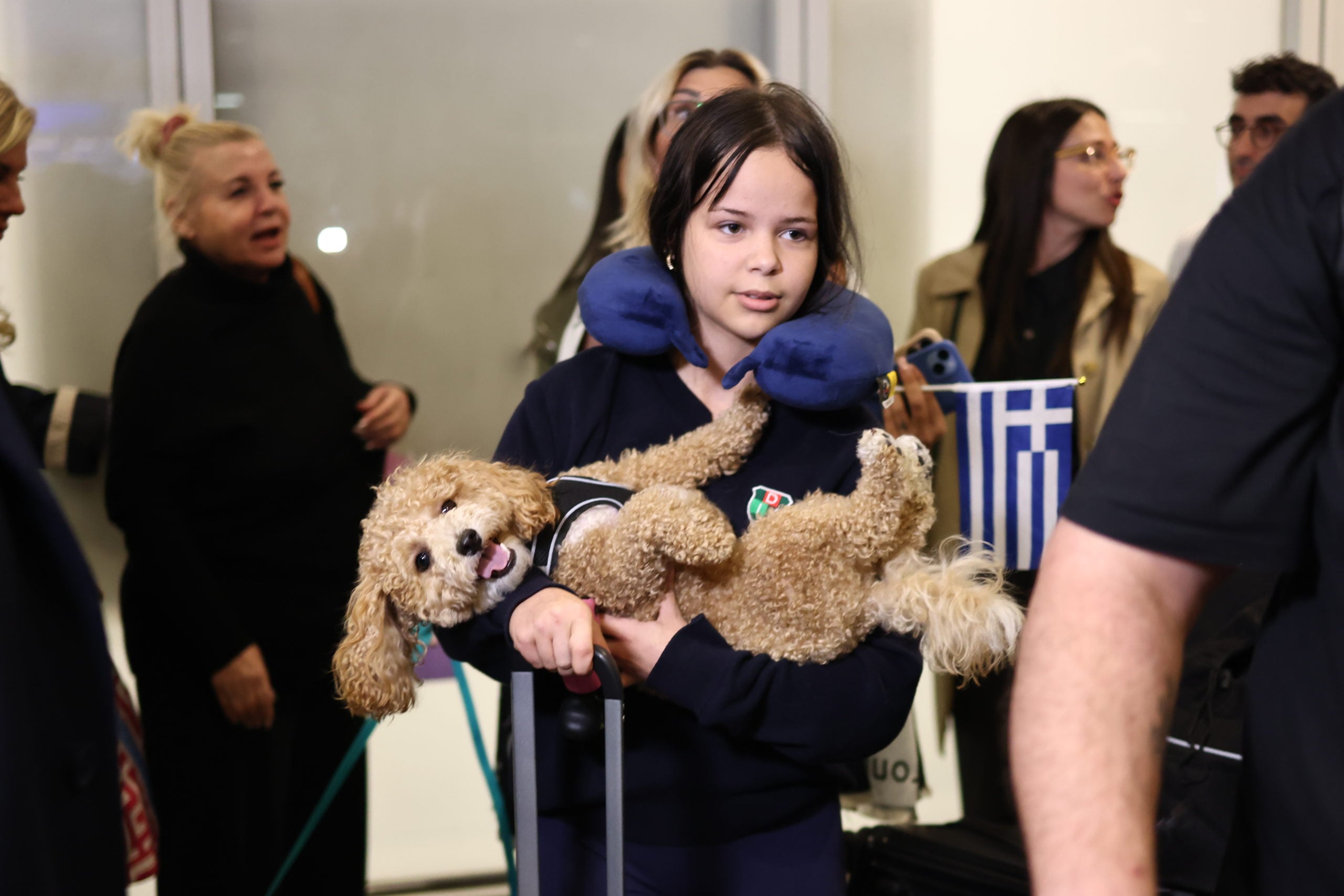 Επαναπατρισμός εγκλωβισμένων στο Άμπου Ντάμπι, Ελ. Βενιζέλος