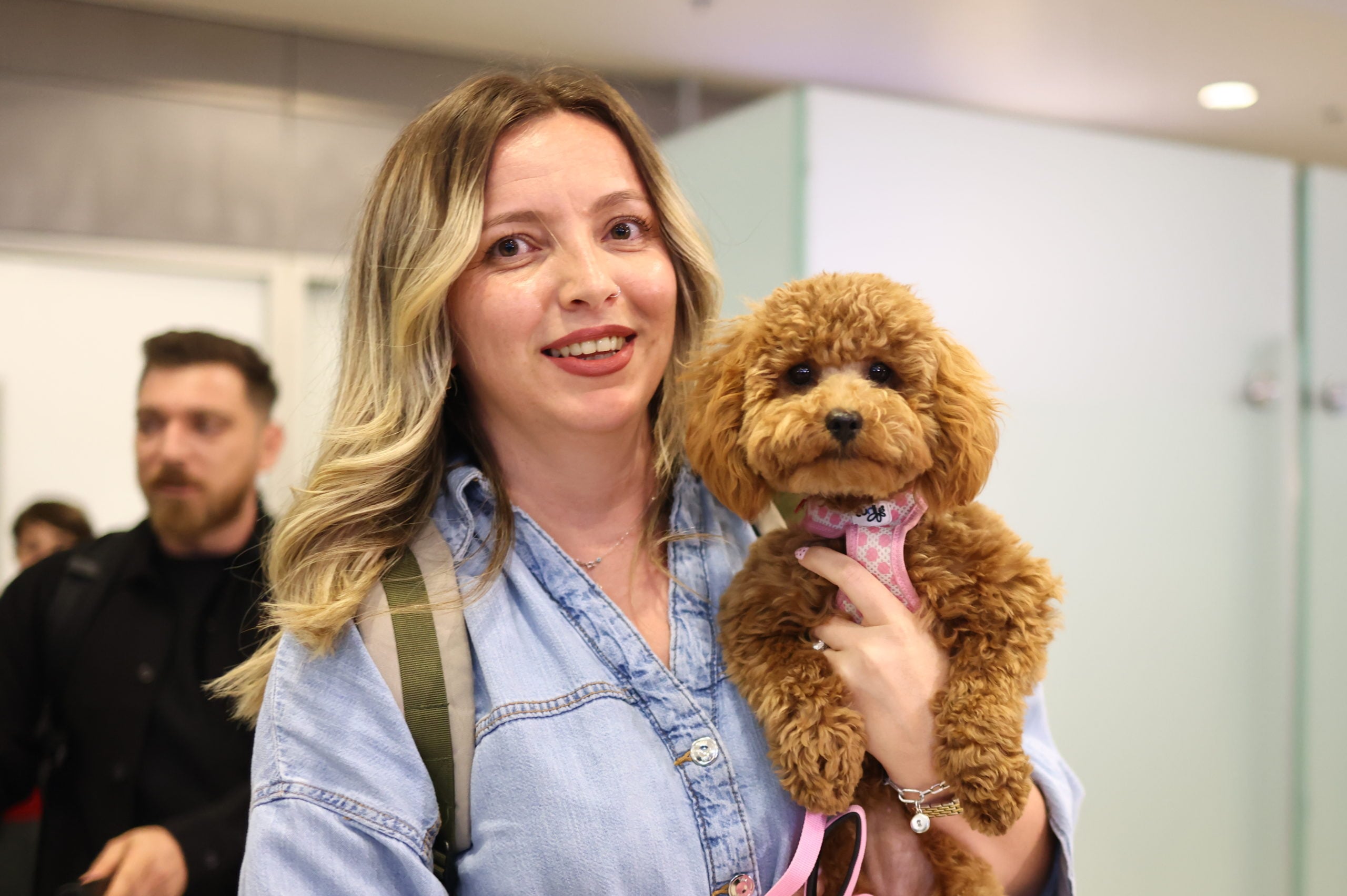 Επαναπατρισμός εγκλωβισμένων στο Άμπου Ντάμπι, Ελ. Βενιζέλος