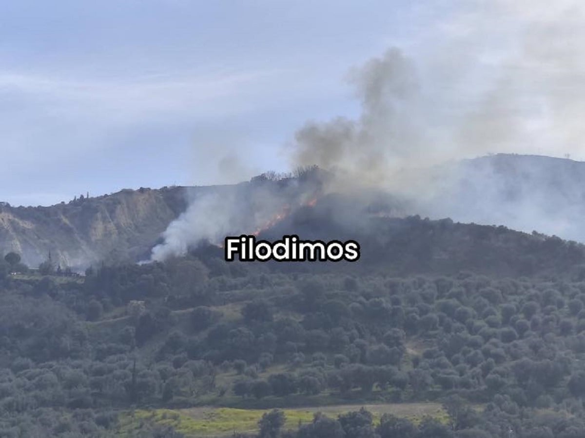 φωτιά στην Αρραβωνίτσα