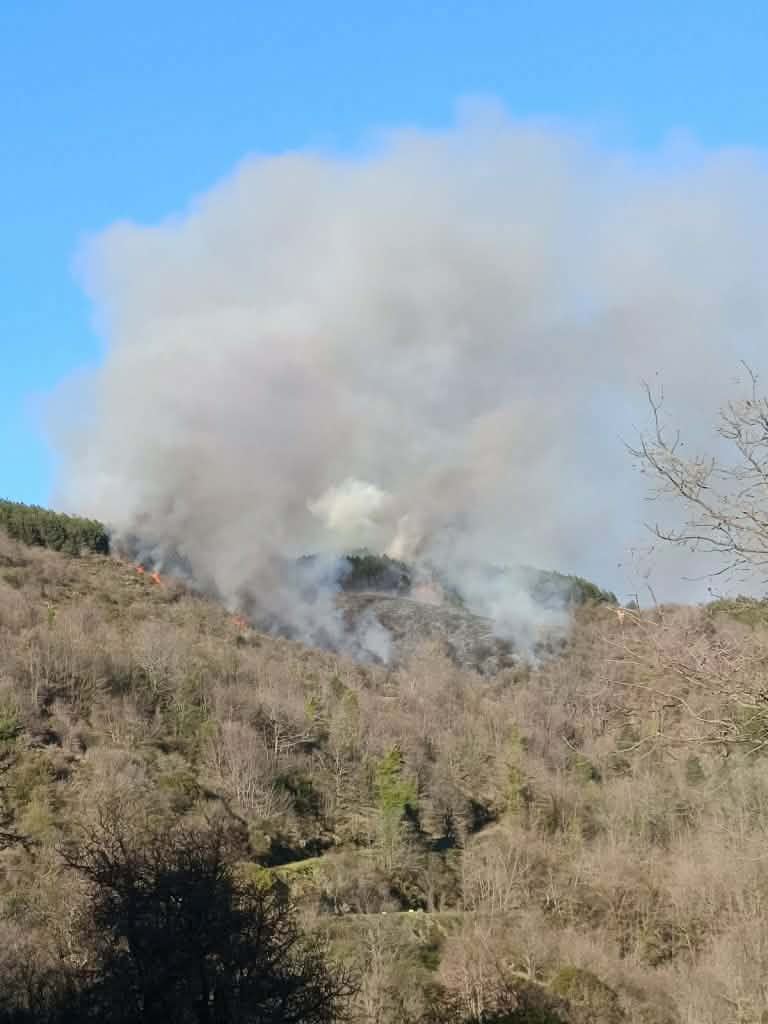 φωτιά, Καρυές Λακωνίας