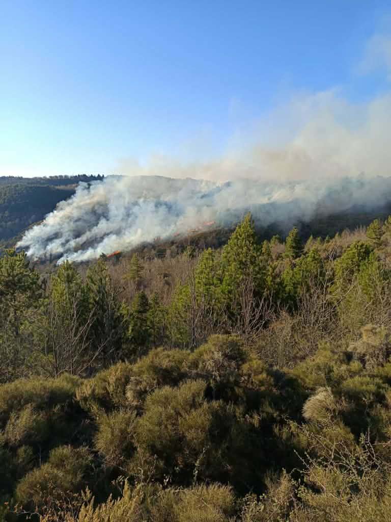 φωτιά, Καρυές Λακωνίας