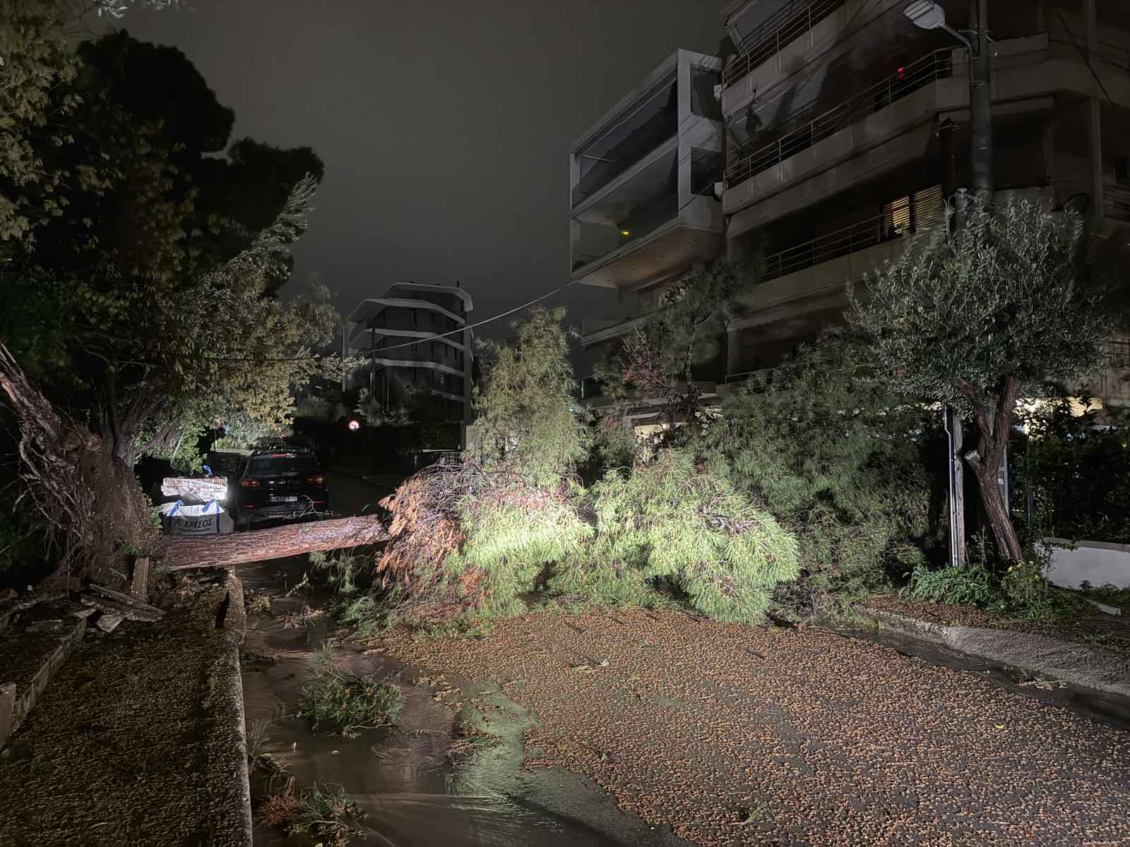 κακοκαιρία, «Erminio», Βάρη, Βούλα, Βουλιαγμένη, πτώσεις δέντρων