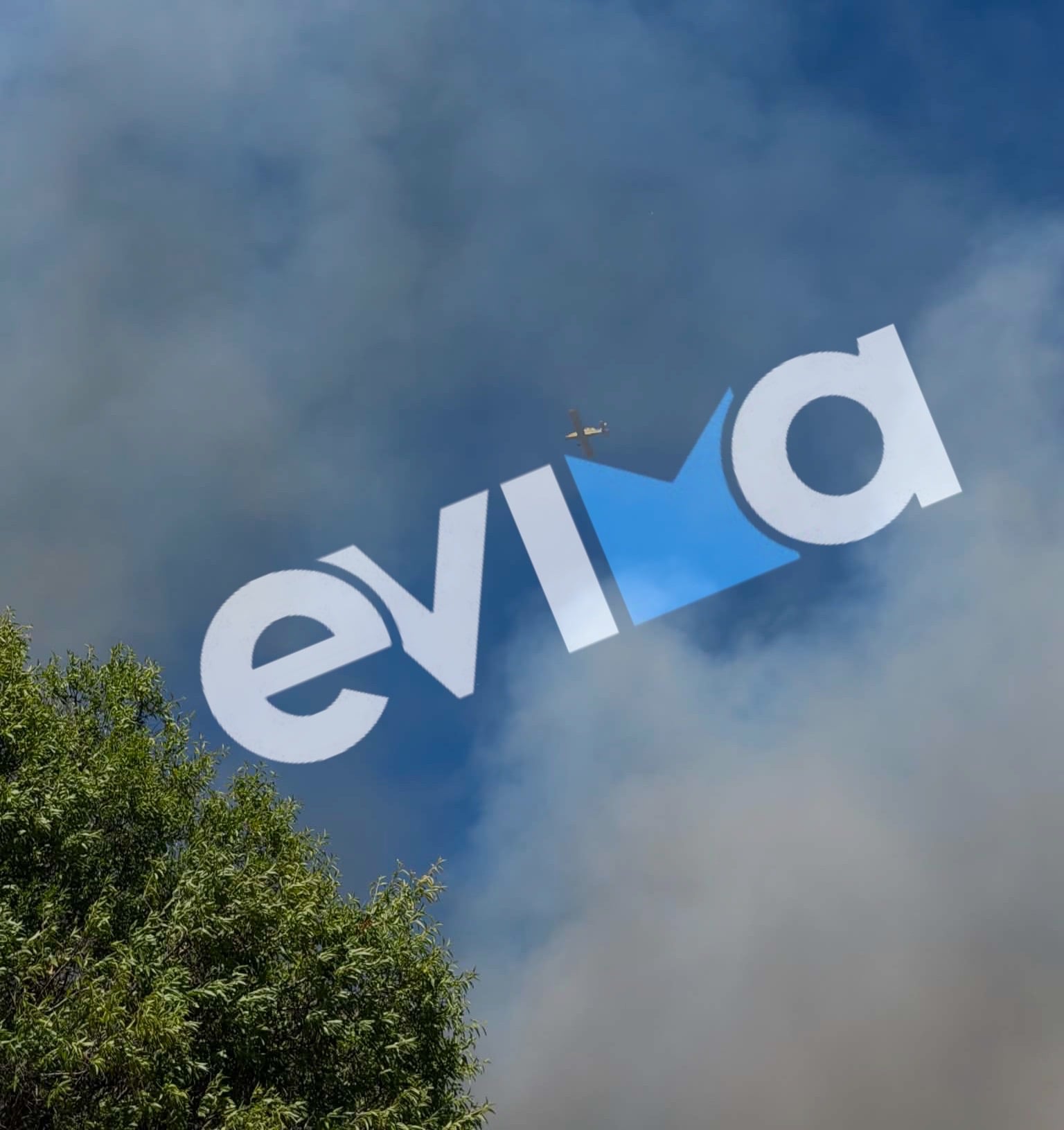 Φωτιά, Εύβοια