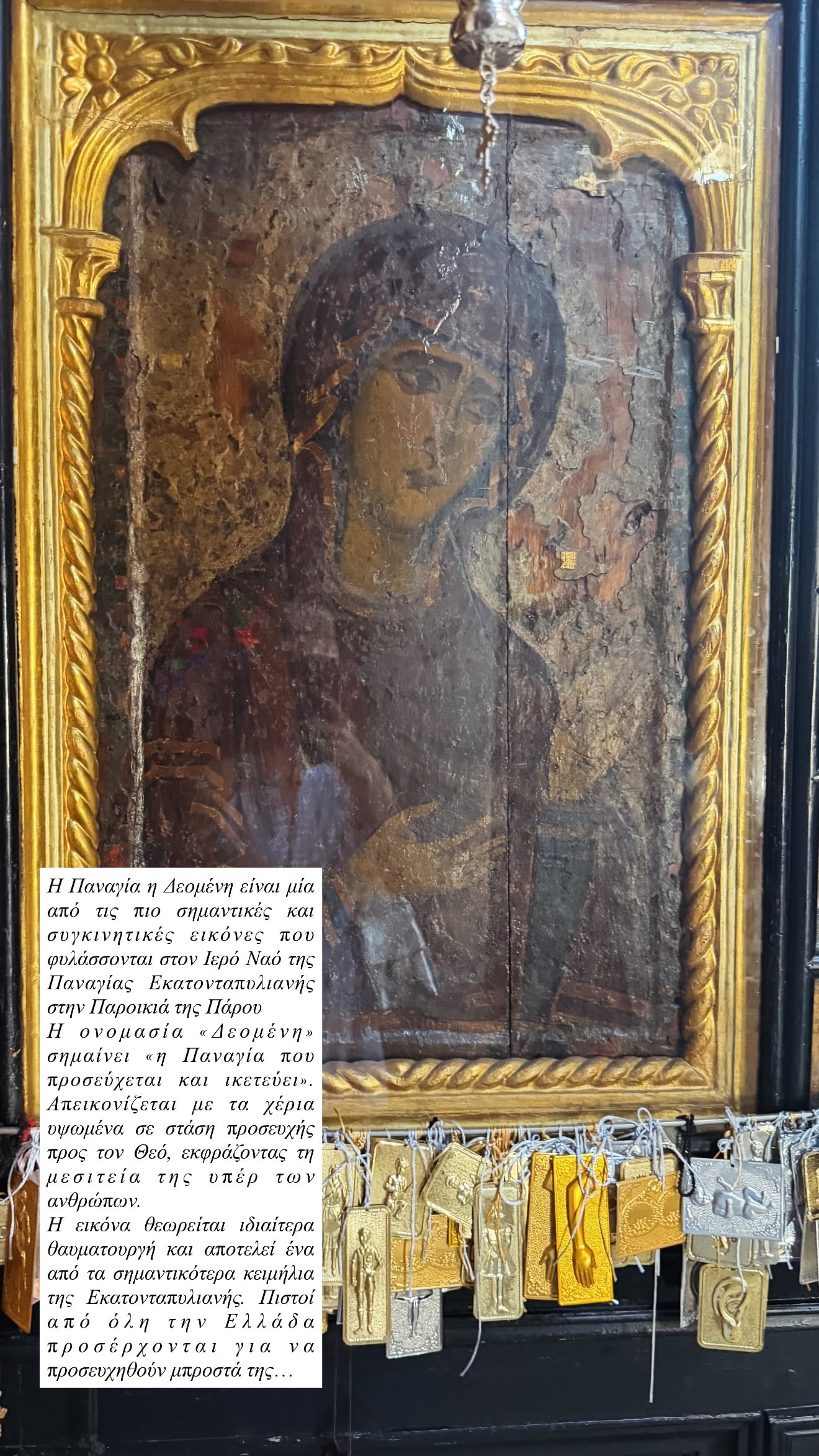 Κατερίνα Καινούργιου