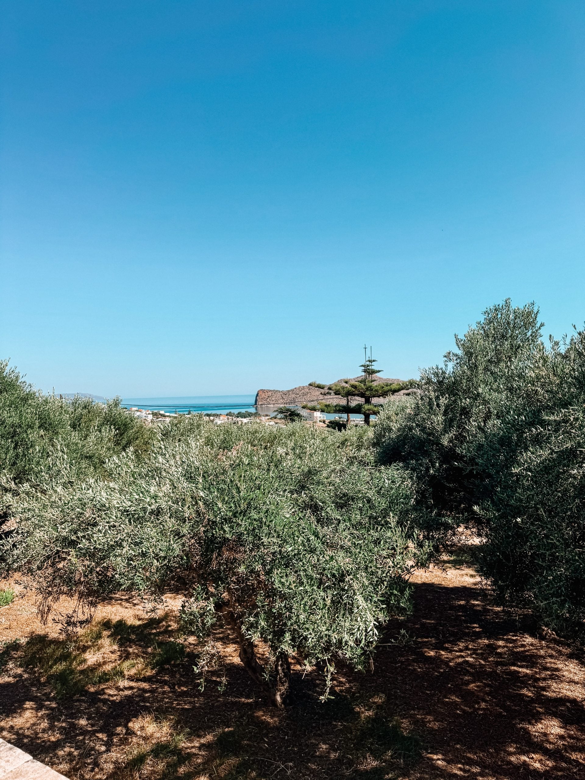 Μαρία Ηλιάκη