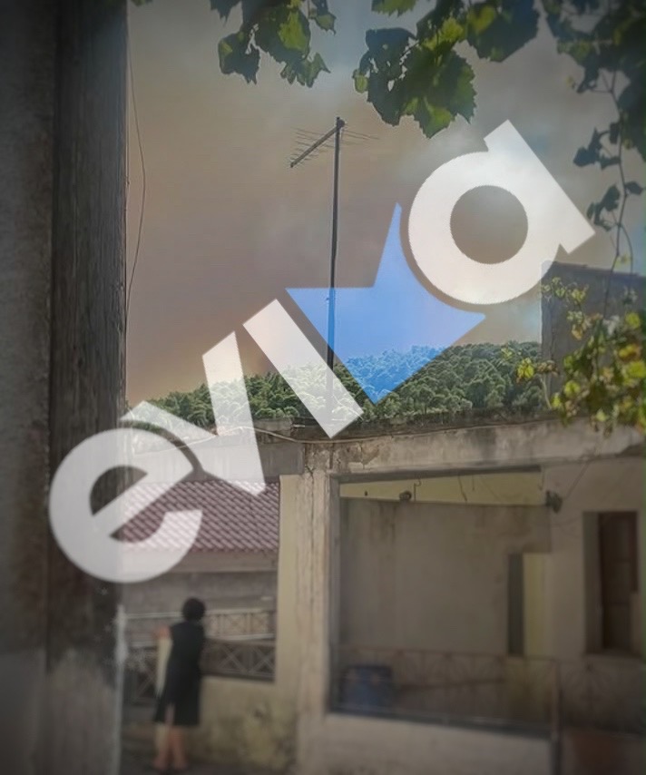 Φωτιά, Εύβοια