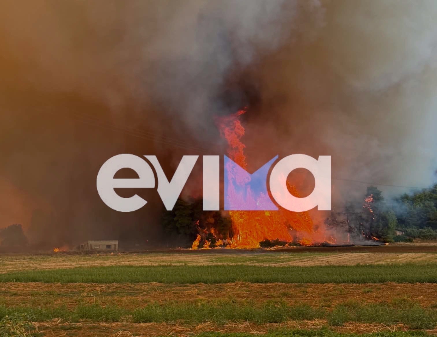 Φωτιά, Εύβοια